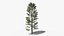 Коллекция Lowpoly Pine