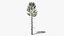 Коллекция Lowpoly Pine
