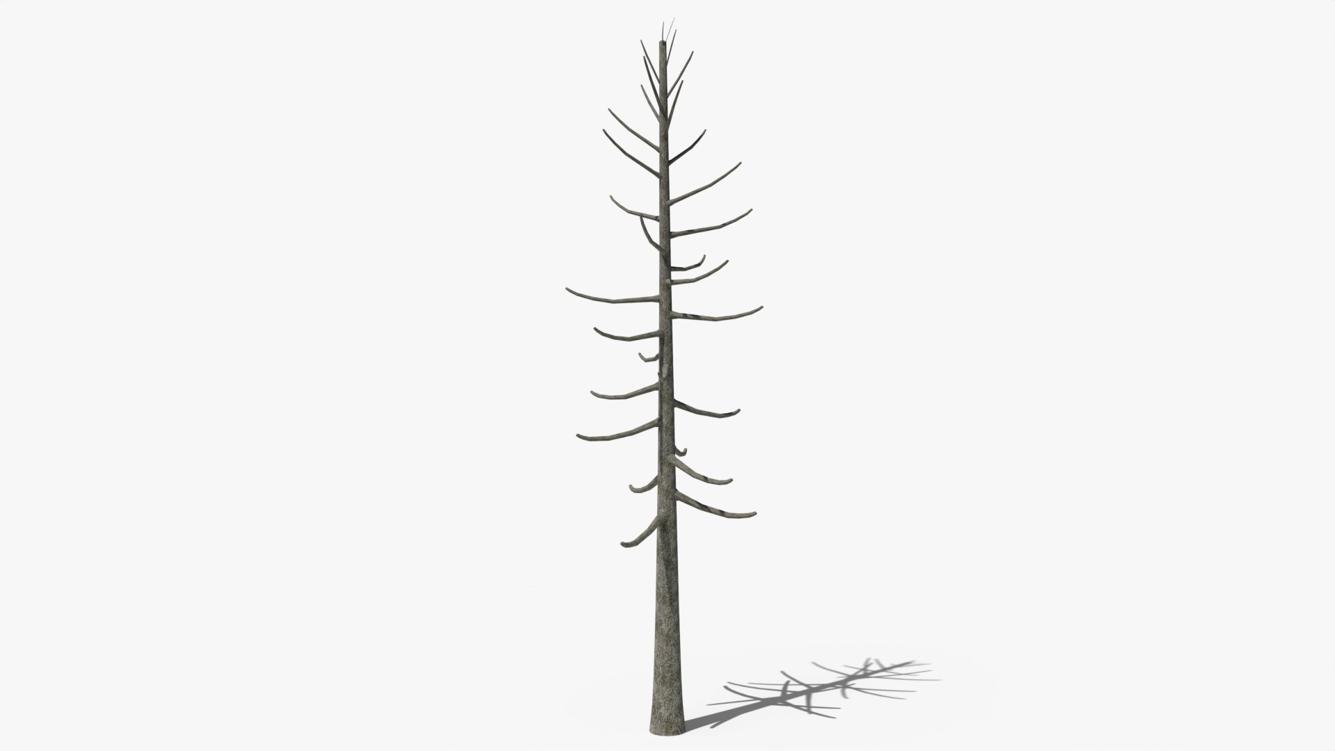 3D model Lowpoly Pine Collection https://p.turbosquid.com/ts-thumb/tG/Jn593E/Mz/z01/png/1691579563/1920x1080/fit_q87/e55a9a1be6825b23a56a30829d0fa4ff22eb17e7/z01.jpg