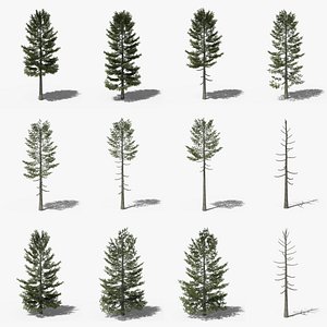 3D model Lowpoly Pine Collection
