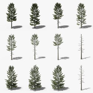 Lowpoly Pine Collection
