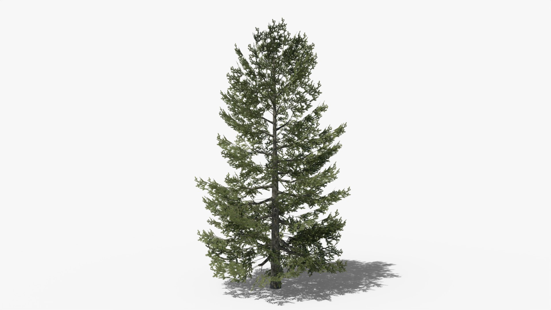 3D model Lowpoly Pine Collection https://p.turbosquid.com/ts-thumb/tG/Jn593E/Rz/z01/png/1691406175/1920x1080/fit_q87/14b839096b71197ce61aec7c8af2a6855273f70f/z01.jpg