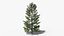 Коллекция Lowpoly Pine