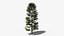 Коллекция Lowpoly Pine