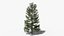 Коллекция Lowpoly Pine