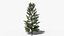 Коллекция Lowpoly Pine