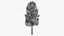 Коллекция Lowpoly Pine