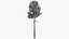Коллекция Lowpoly Pine