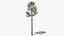 Коллекция Lowpoly Pine
