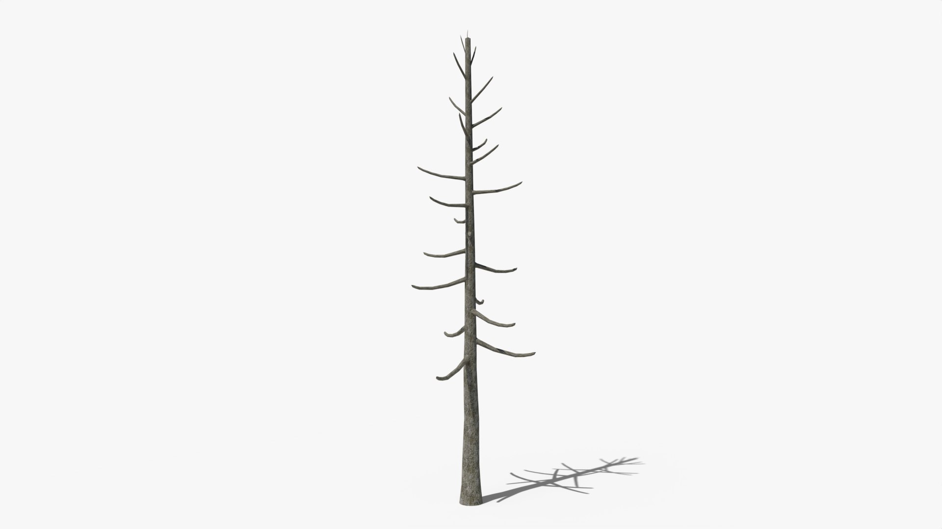 3D model Lowpoly Pine Collection https://p.turbosquid.com/ts-thumb/tG/Jn593E/sK/z01/png/1691578022/1920x1080/fit_q87/98aa6914542c8bc0010df365e923aa6eb5f91e38/z01.jpg