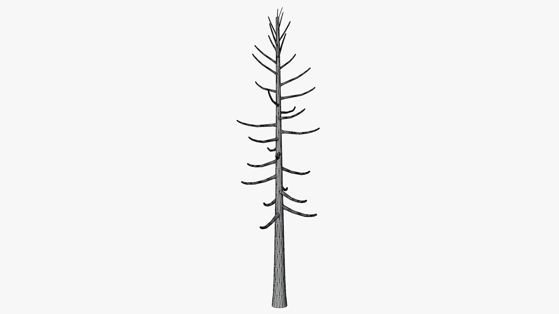 3D model Lowpoly Pine Collection https://p.turbosquid.com/ts-thumb/tG/Jn593E/tU/z07/png/1691579565/1920x1080/fit_q87/381f39c64492390648d7e228ff35c549d2af2e88/z07.jpg