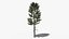 Коллекция Lowpoly Pine