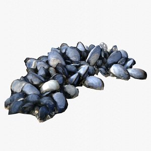 Mussels 3 3D