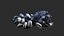 Mussels 3