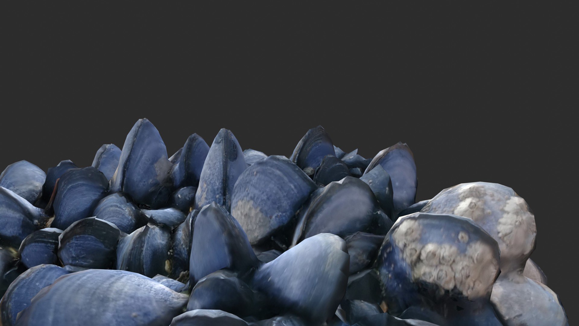 Mussels 3 3D https://p.turbosquid.com/ts-thumb/tG/NxjAsl/kd/preview_7/jpg/1631455644/1920x1080/fit_q87/84f943b85fec9c617541f69ef76a95b779fd2653/preview_7.jpg