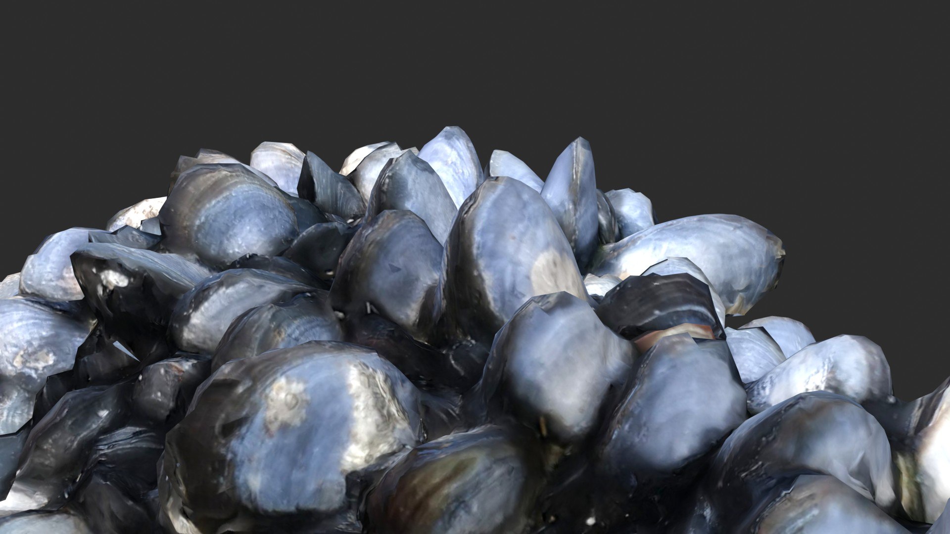 Mussels 3 3D https://p.turbosquid.com/ts-thumb/tG/NxjAsl/td/preview_9/jpg/1631455644/1920x1080/fit_q87/ec1d9dd51359eccc1bd028f0efac36338a556676/preview_9.jpg