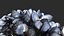 Mussels 3