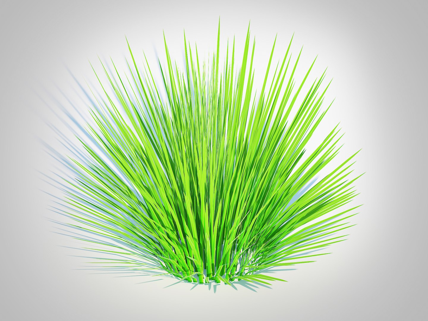 Deschampsia flex -without Wavy 3D model https://p.turbosquid.com/ts-thumb/tG/UI9CdV/0z/2/jpg/1729401738/1920x1080/fit_q87/eab1a1e661e03e847ce770affcc44bc1b17aa679/2.jpg