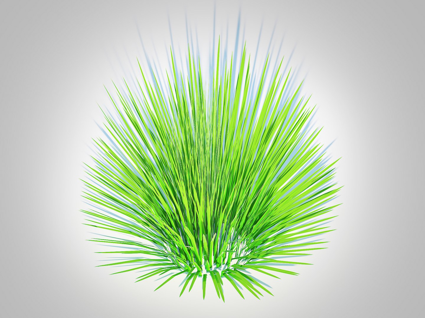 Deschampsia flex -without Wavy 3D model https://p.turbosquid.com/ts-thumb/tG/UI9CdV/CE/4/jpg/1729401743/1920x1080/fit_q87/42b83a67e84260bf53601f1c597930db74747050/4.jpg