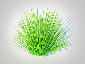 Deschampsia flex -without Wavy 3D model
