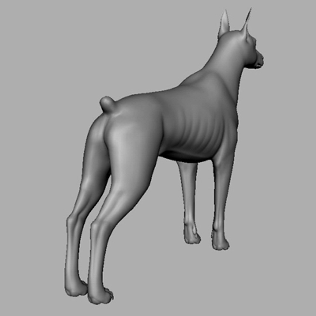 doberman 3d model https://p.turbosquid.com/ts-thumb/tG/XhB8va/KFBwV0kc/pic_04/jpg/1139576551/1920x1080/fit_q87/fed09d531f928978fce912be2ab48e1f797fe067/pic_04.jpg