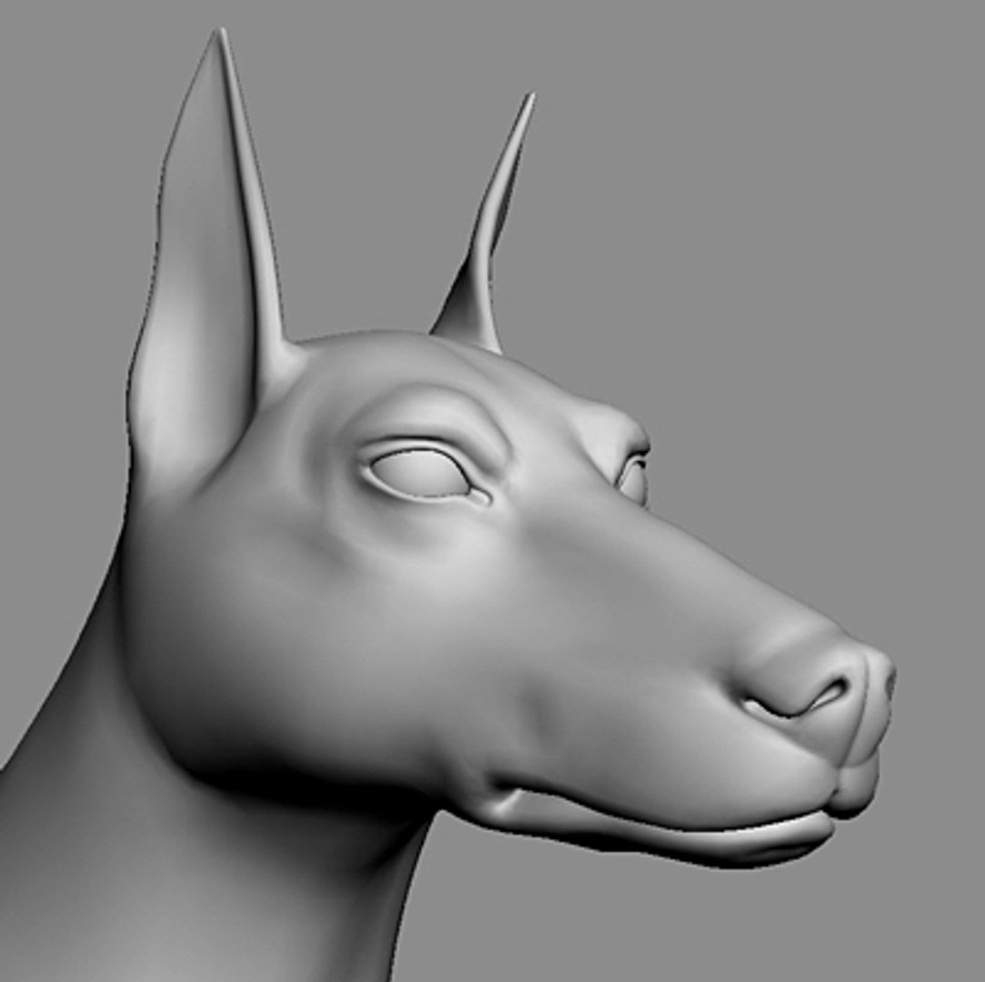doberman 3d model https://p.turbosquid.com/ts-thumb/tG/XhB8va/kThK4TKX/pic_03/jpg/1139576544/1920x1080/fit_q87/59350f816ab27a0d45a20475e3be83b29d2b1358/pic_03.jpg