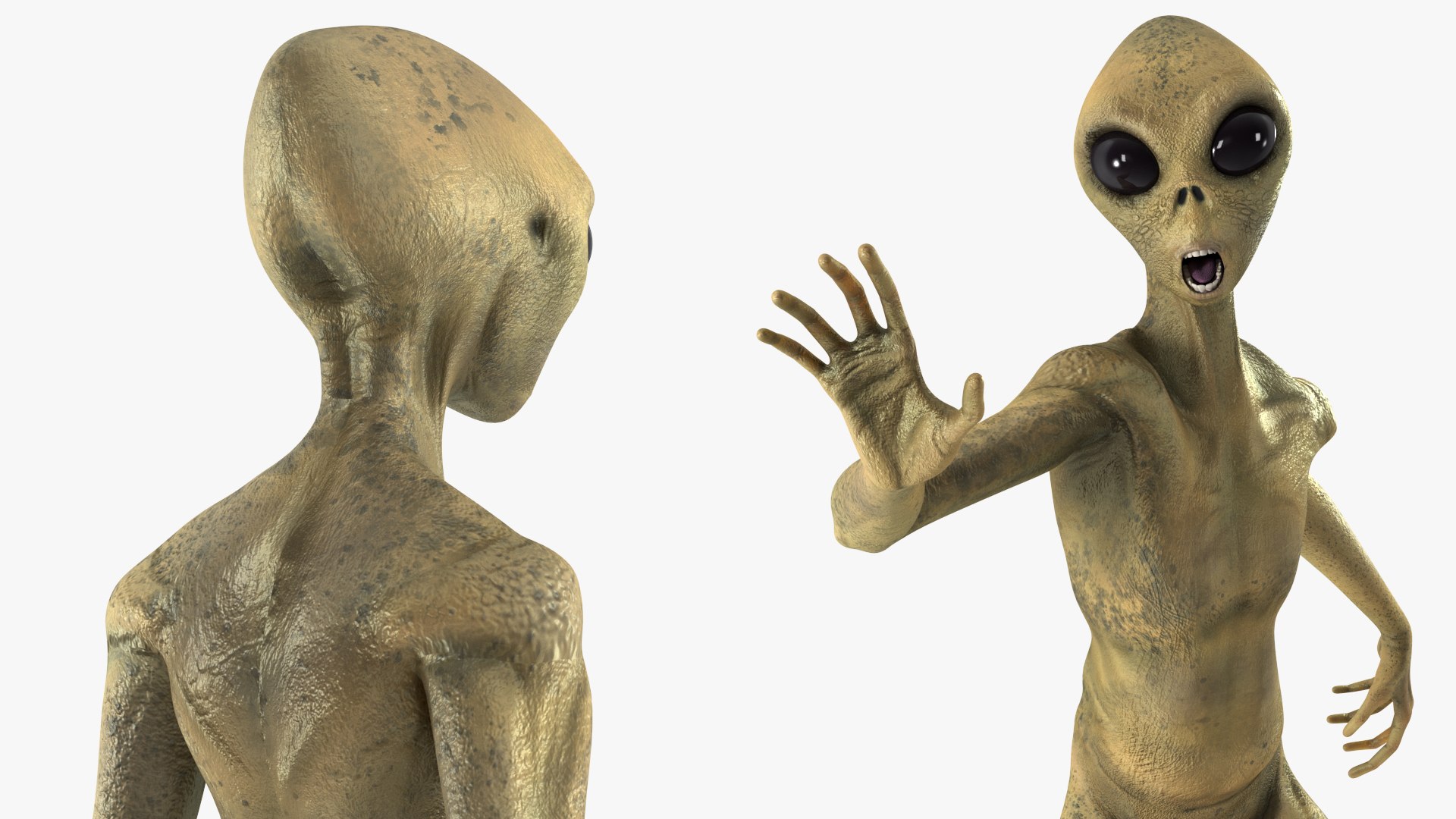 Humanoid Alien Creature Rigged for Maya model https://p.turbosquid.com/ts-thumb/tG/ei8fLy/KR/humanoidaliencreatureriggedmb3dmodel018/jpg/1674488500/1920x1080/fit_q87/a787cb28e64c3736a30f32b7dc1a40f29fbb1f2f/humanoidaliencreatureriggedmb3dmodel018.jpg