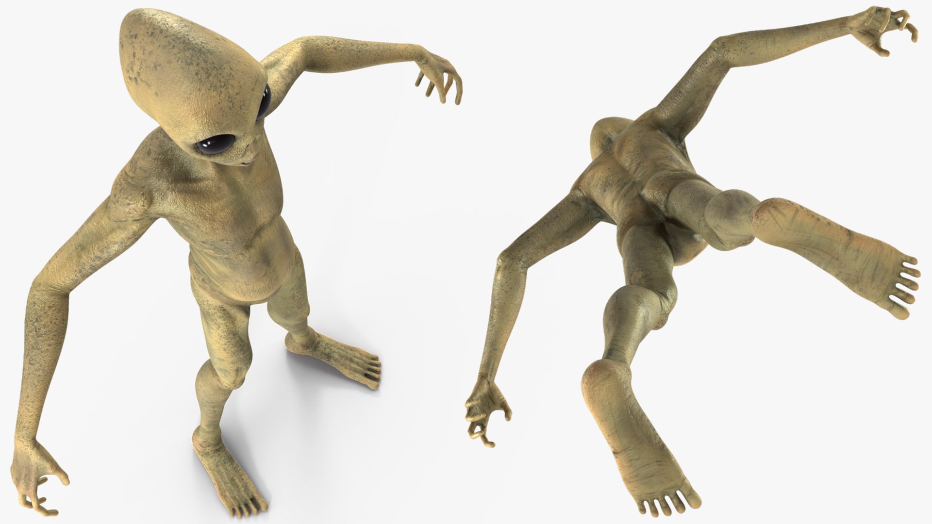 Humanoid Alien Creature Rigged for Maya model https://p.turbosquid.com/ts-thumb/tG/ei8fLy/eW/humanoidaliencreatureriggedmb3dmodel017/jpg/1674488497/1920x1080/fit_q87/51904246927301449531610452059f79d0ee615a/humanoidaliencreatureriggedmb3dmodel017.jpg