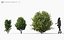 shrub includes growfx files 3D model
