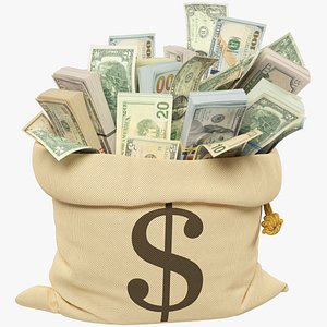 Money Bag V8 3D model