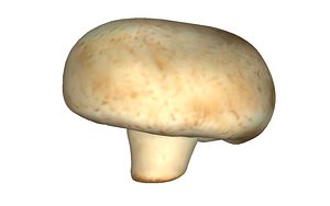 Msuhroom