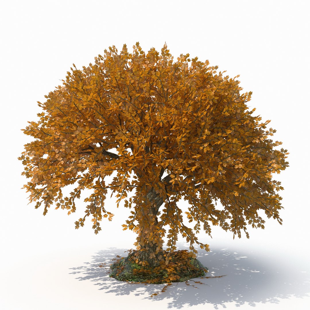 3D realistic tree - TurboSquid 1150625