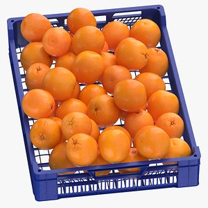Postharvest Tray With Oranges