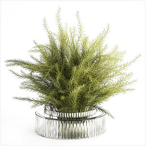 Floral green bouquet Asparagus branches glass vase 611 3D model