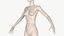 Mannequin Female Rigged model