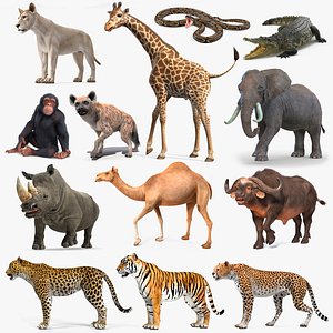 Rigged African Animals Collection 10 for Maya