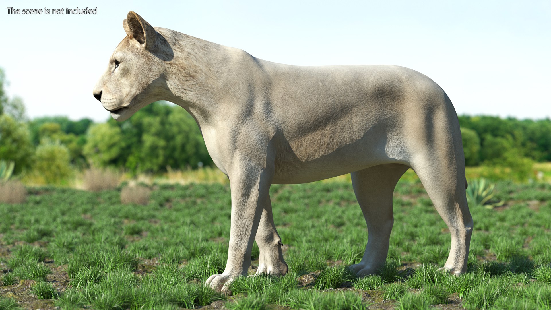 3D Rigged African Animals Collection 10 for Maya model https://p.turbosquid.com/ts-thumb/tH/OXgWGL/5B/riggedafricananimalscollection10c4dmodel003/jpg/1628252184/1920x1080/fit_q87/a48b24cd0791655ca147b540e988005d8bee2cb6/riggedafricananimalscollection10c4dmodel003.jpg