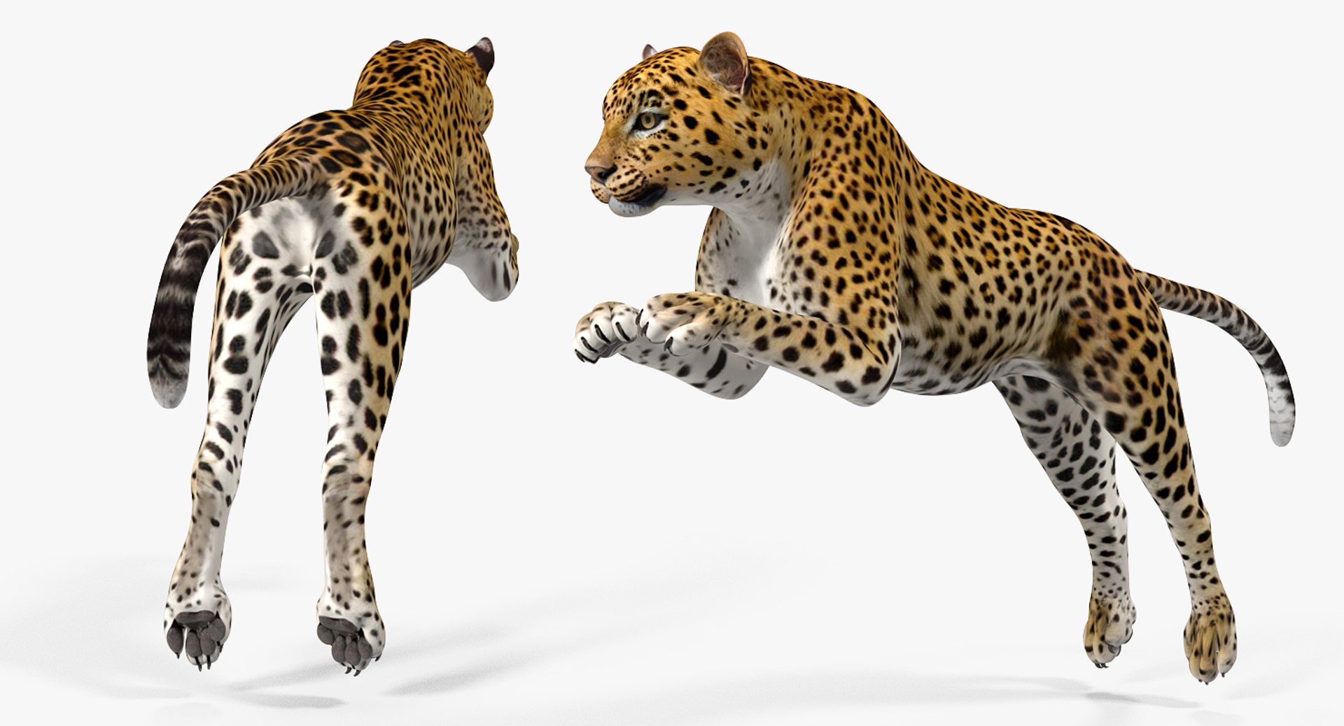3D Rigged African Animals Collection 10 for Maya model https://p.turbosquid.com/ts-thumb/tH/OXgWGL/9X/riggedafricananimalscollection10c4dmodel130/jpg/1628252489/1920x1080/fit_q87/c8e758548d462175650452bc4d5e2c8a3c0a5bb4/riggedafricananimalscollection10c4dmodel130.jpg