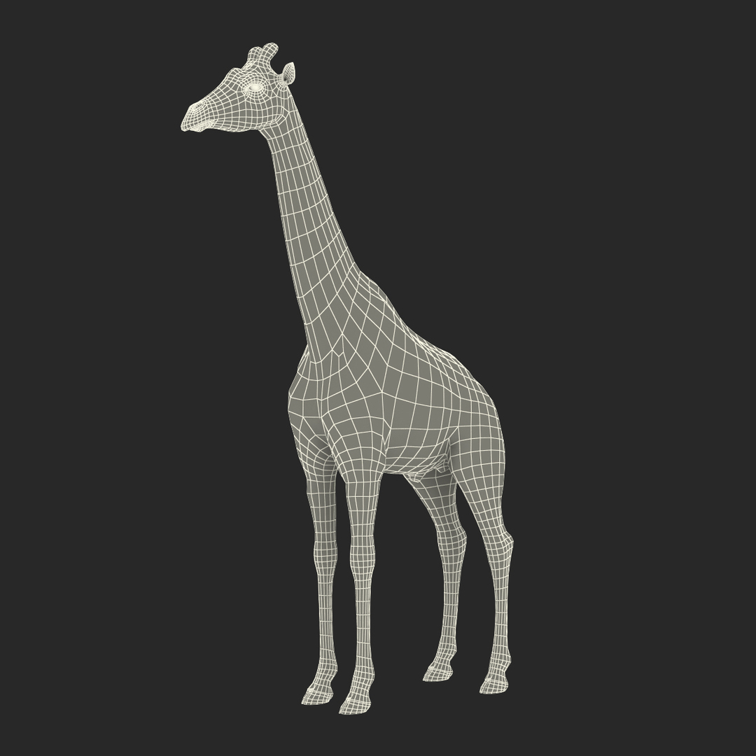 3D Rigged African Animals Collection 10 for Maya model https://p.turbosquid.com/ts-thumb/tH/OXgWGL/9c/african_giraffe_fur_rigged_361/jpg/1628252916/1920x1080/turn_fit_q99/ec39f3e1dba9b8b994afa84013fb9ce1864af38c/african_giraffe_fur_rigged_361-1.jpg