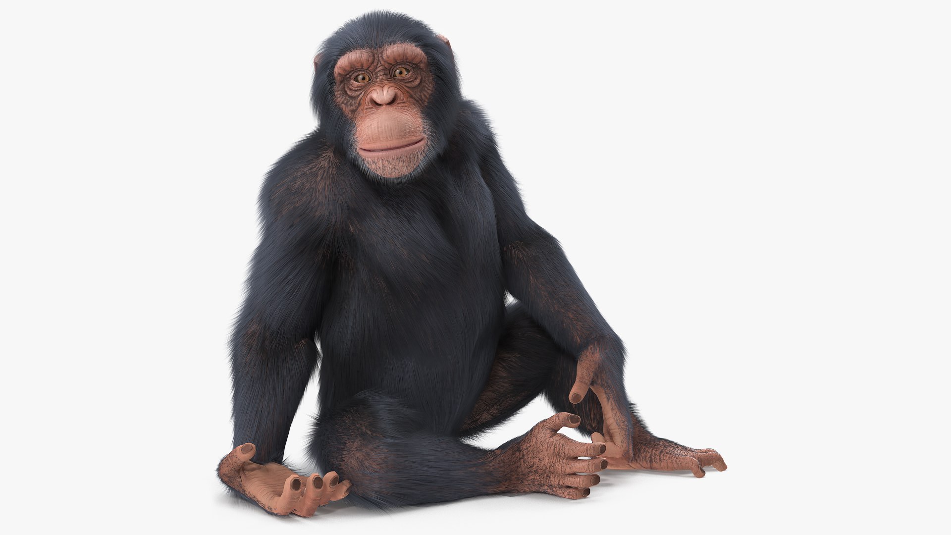 3D Rigged African Animals Collection 10 for Maya model https://p.turbosquid.com/ts-thumb/tH/OXgWGL/9n/riggedafricananimalscollection10c4dmodel079/jpg/1628252373/1920x1080/fit_q87/6d36b844d522e69c47a735bea0976fff615a1f97/riggedafricananimalscollection10c4dmodel079.jpg