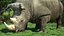 Collezione di animali africani truccati 10 per Maya
