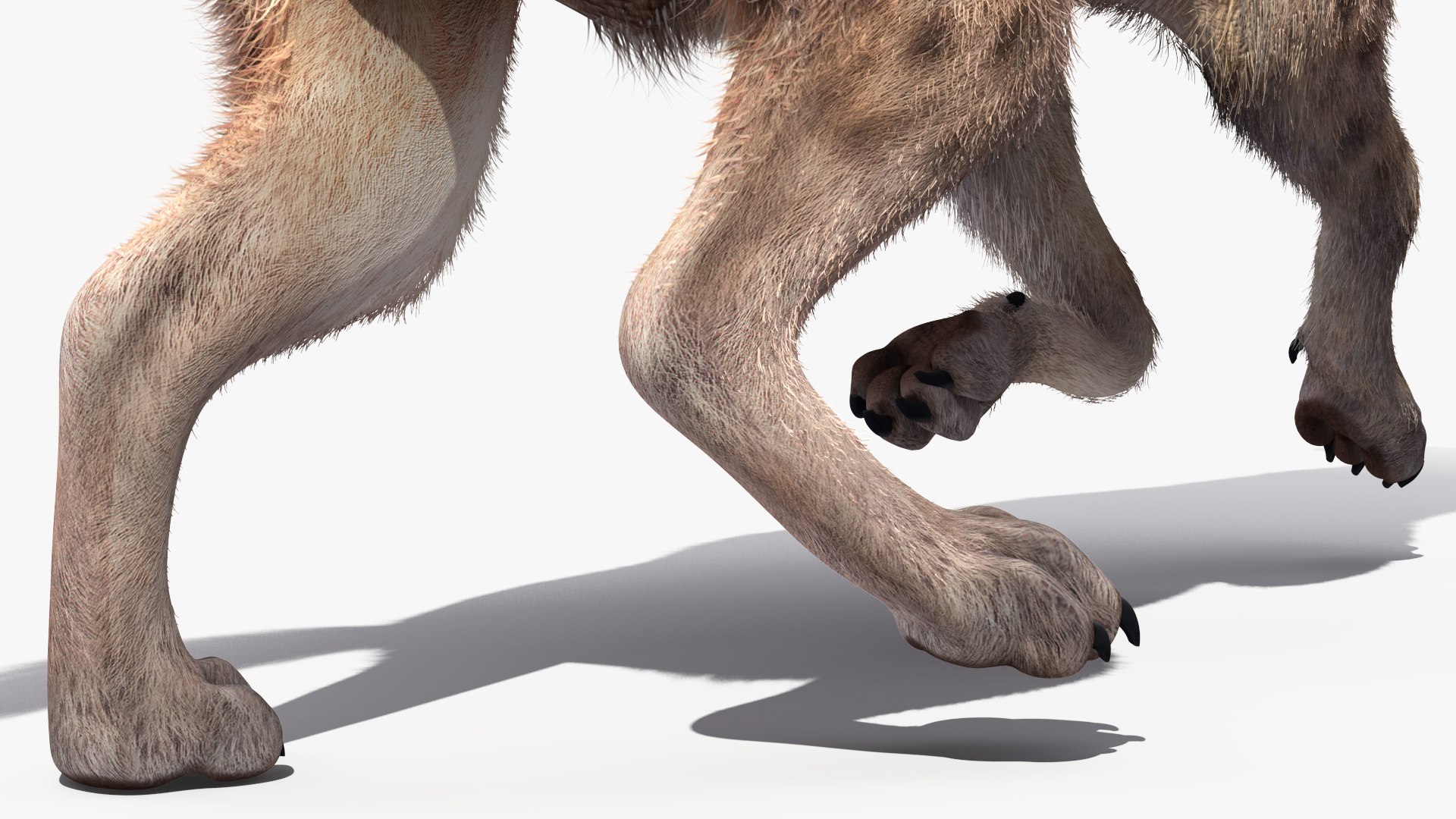3D Rigged African Animals Collection 10 for Maya model https://p.turbosquid.com/ts-thumb/tH/OXgWGL/GP/riggedafricananimalscollection10c4dmodel039/jpg/1628252276/1920x1080/fit_q87/6750ae1418f00970f39d610b2810ae462b95777d/riggedafricananimalscollection10c4dmodel039.jpg