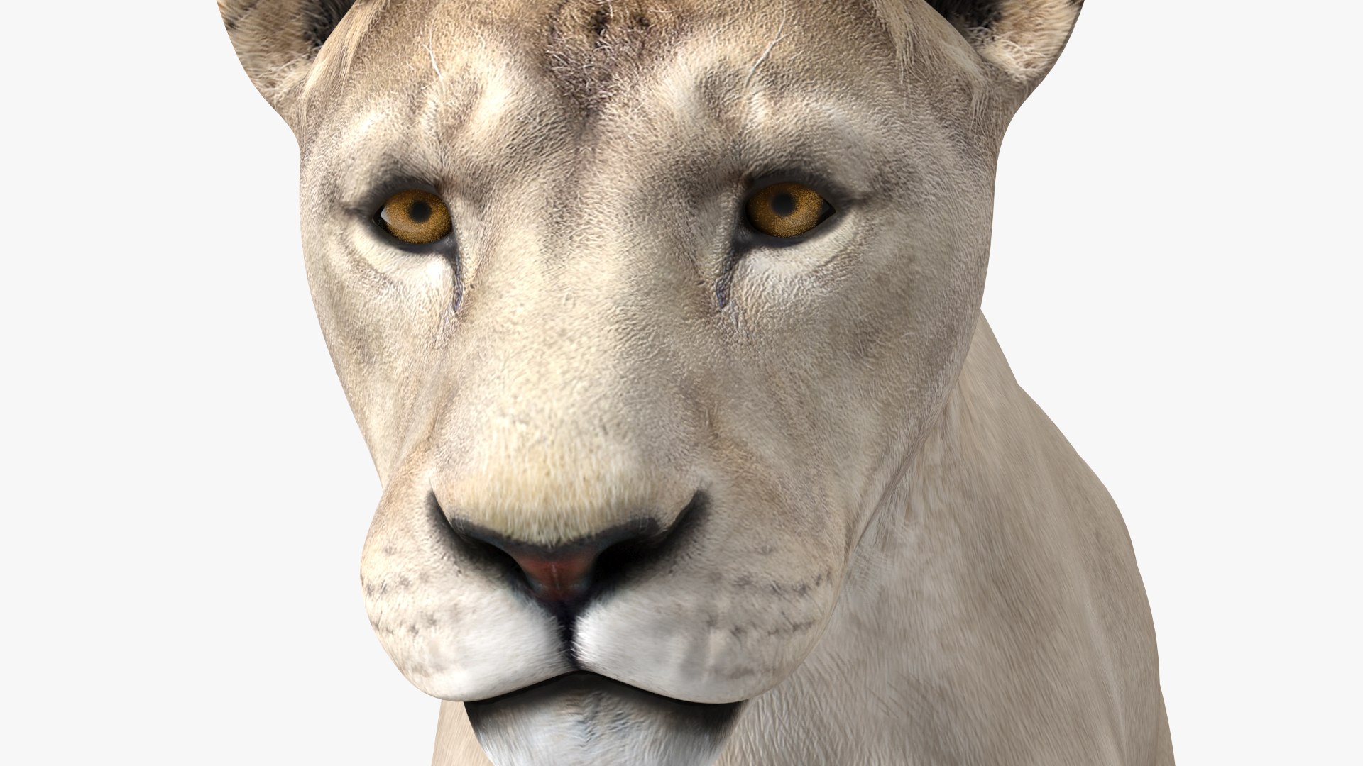 3D Rigged African Animals Collection 10 for Maya model https://p.turbosquid.com/ts-thumb/tH/OXgWGL/Jm/riggedafricananimalscollection10c4dmodel016/jpg/1628252215/1920x1080/fit_q87/66f35d7b8f8e56fde3a01005bb5eaee624ec2eef/riggedafricananimalscollection10c4dmodel016.jpg
