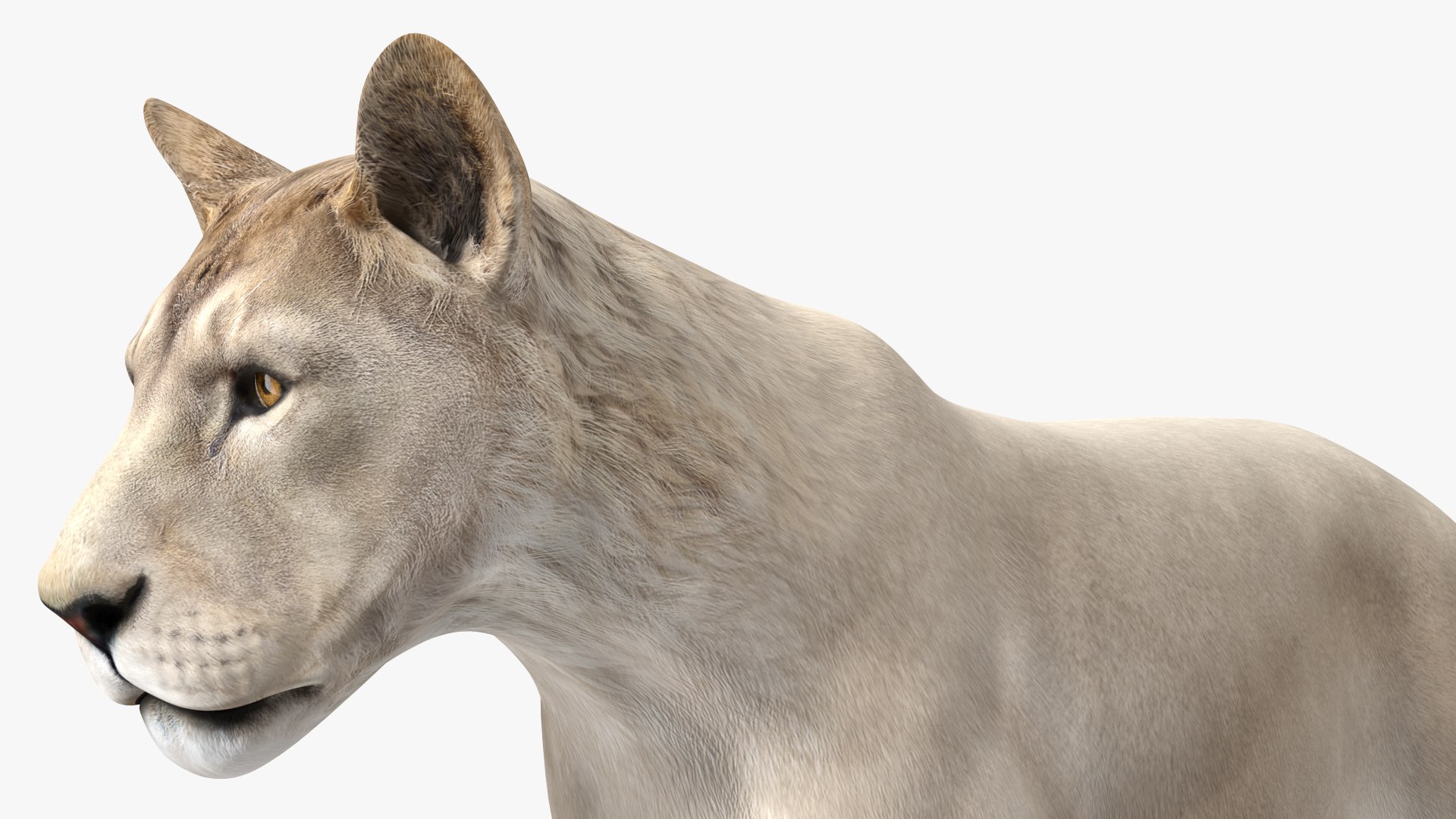 3D Rigged African Animals Collection 10 for Maya model https://p.turbosquid.com/ts-thumb/tH/OXgWGL/MW/riggedafricananimalscollection10c4dmodel014/jpg/1628252209/1920x1080/fit_q87/c8d5f95b3337816d31d6dec86fcf679be327352f/riggedafricananimalscollection10c4dmodel014.jpg