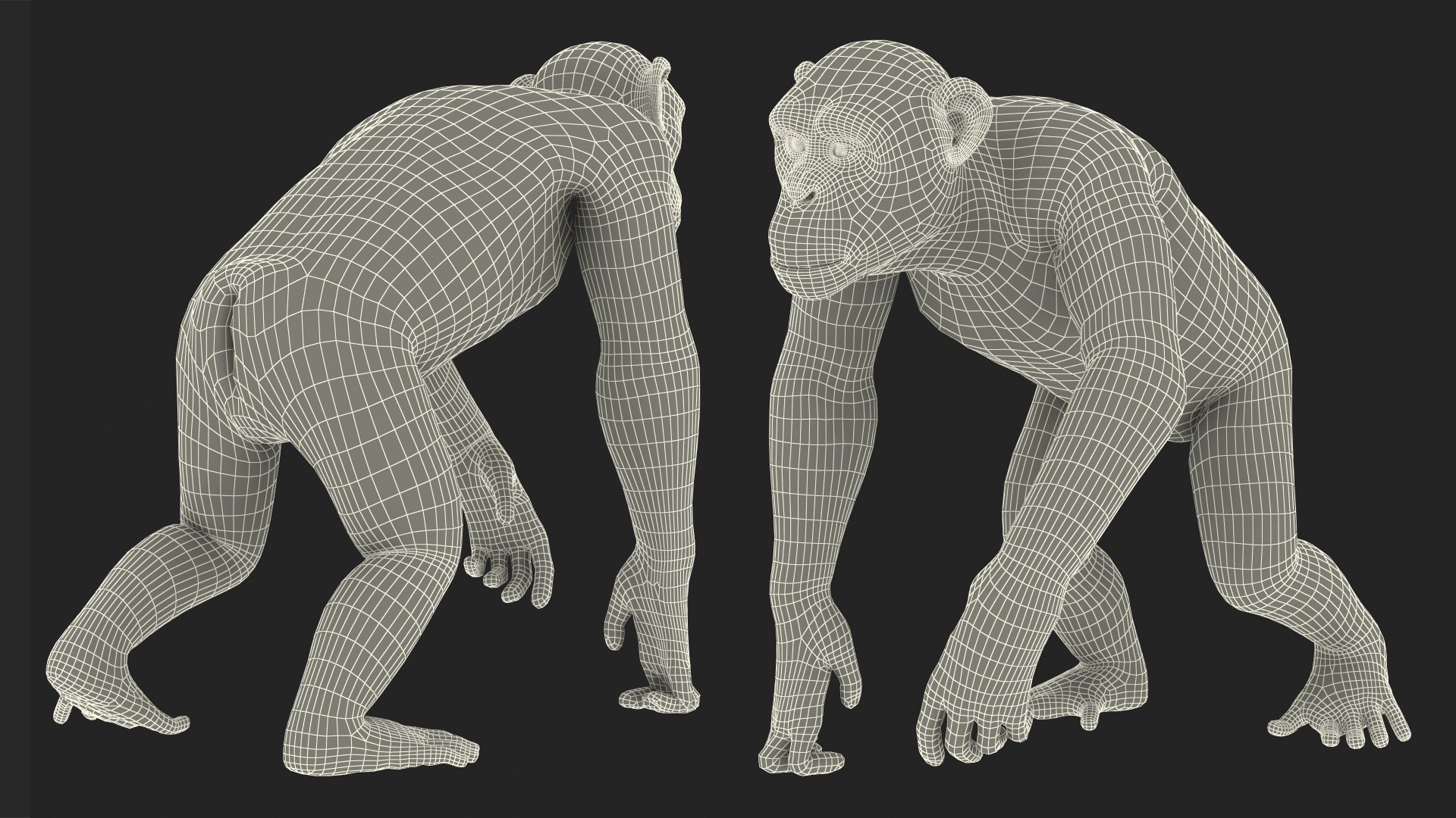 3D Rigged African Animals Collection 10 for Maya model https://p.turbosquid.com/ts-thumb/tH/OXgWGL/OP/riggedafricananimalscollection10c4dmodel170/jpg/1628252580/1920x1080/fit_q87/4202a0ea957cbee53448da76c6434950010710a5/riggedafricananimalscollection10c4dmodel170.jpg