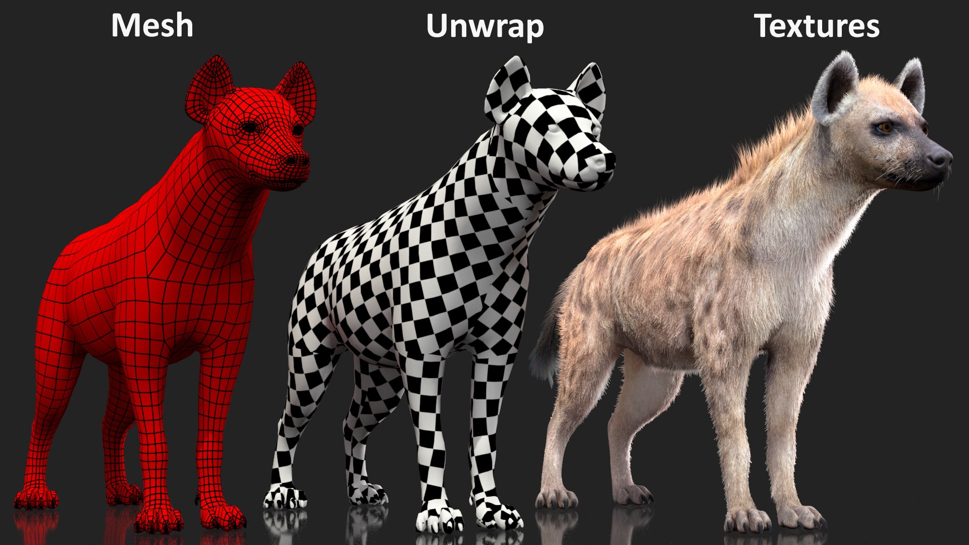 3D Rigged African Animals Collection 10 for Maya model https://p.turbosquid.com/ts-thumb/tH/OXgWGL/QE/riggedafricananimalscollection10c4dmodel027/jpg/1628252247/1920x1080/fit_q87/ae478ad3b7f11a1fb87d5755bad61f5c230308d7/riggedafricananimalscollection10c4dmodel027.jpg