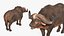 Collezione di animali africani truccati 10 per Maya