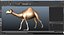 3D Rigged African Animals Collection 10 for Maya model