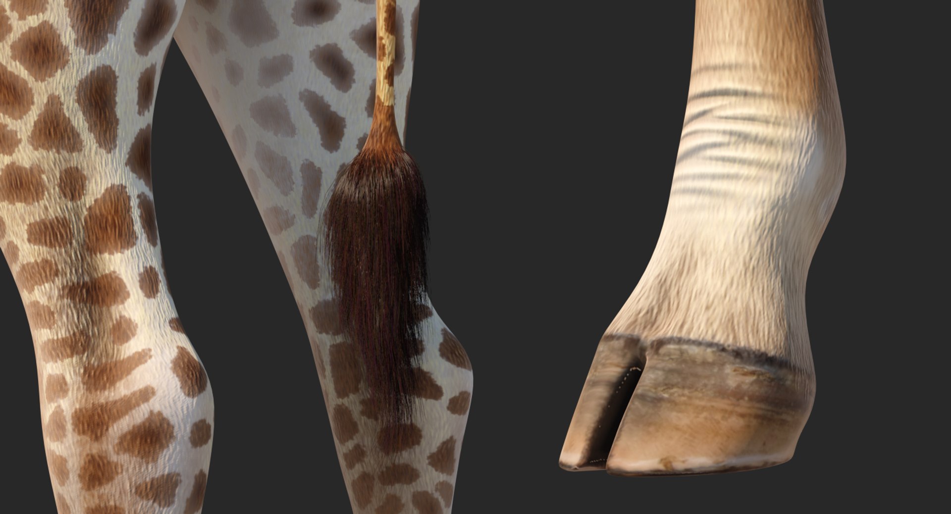 3D Rigged African Animals Collection 10 for Maya model https://p.turbosquid.com/ts-thumb/tH/OXgWGL/TY/riggedafricananimalscollection10c4dmodel115/jpg/1628252453/1920x1080/fit_q87/1e28f1c649e5340e5b9ed44436894a064f63a486/riggedafricananimalscollection10c4dmodel115.jpg