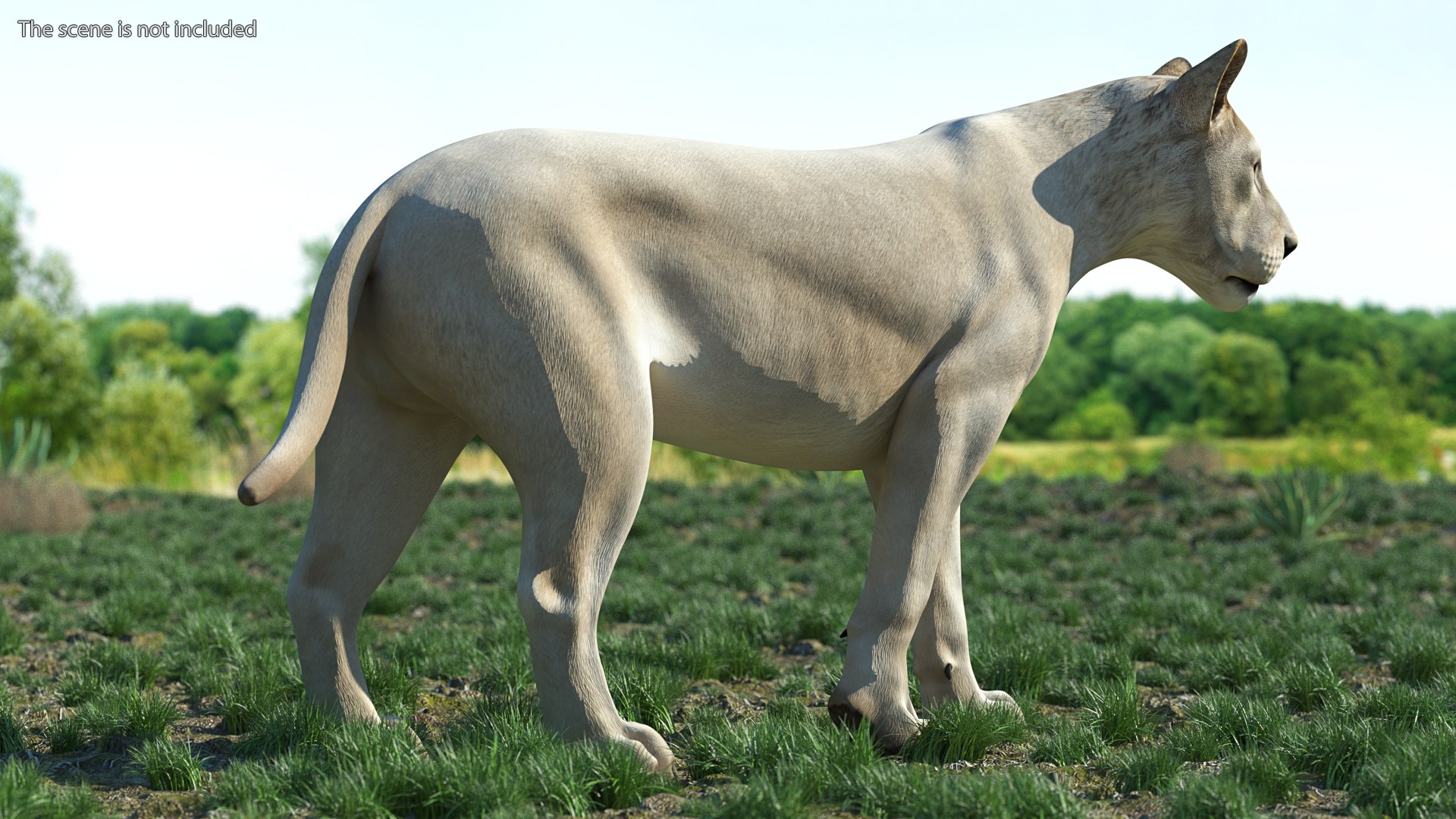 3D Rigged African Animals Collection 10 for Maya model https://p.turbosquid.com/ts-thumb/tH/OXgWGL/ZP/riggedafricananimalscollection10c4dmodel004/jpg/1628252187/1920x1080/fit_q87/285ce77e9ca67a203c42bd35099ae27f3f9d8248/riggedafricananimalscollection10c4dmodel004.jpg